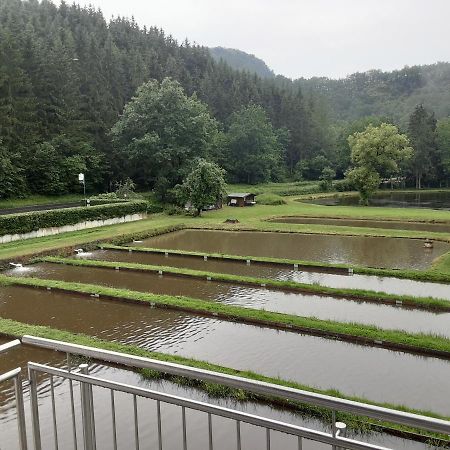 Zimmer Ohne Fruehstueck In Der Forellenzucht Burgen  Zewnętrze zdjęcie