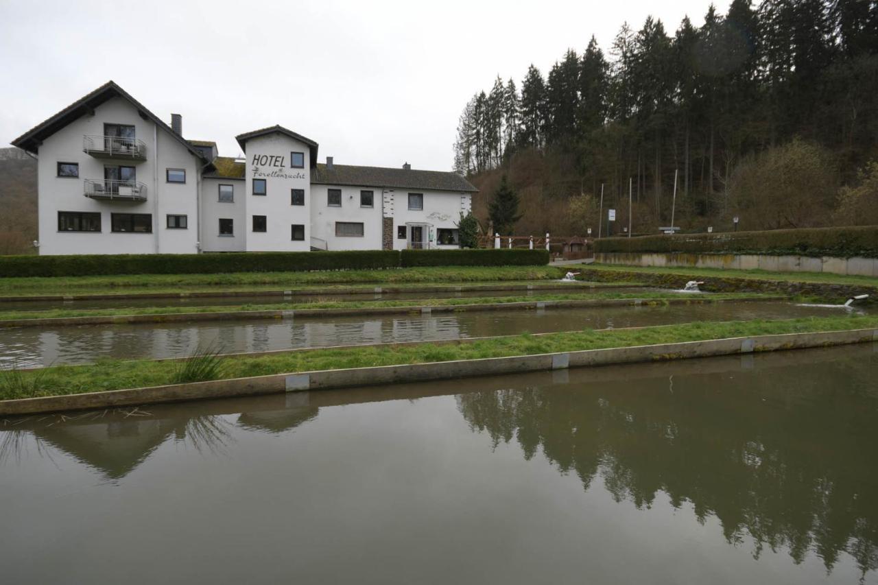 Zimmer Ohne Fruehstueck In Der Forellenzucht Burgen  Zewnętrze zdjęcie
