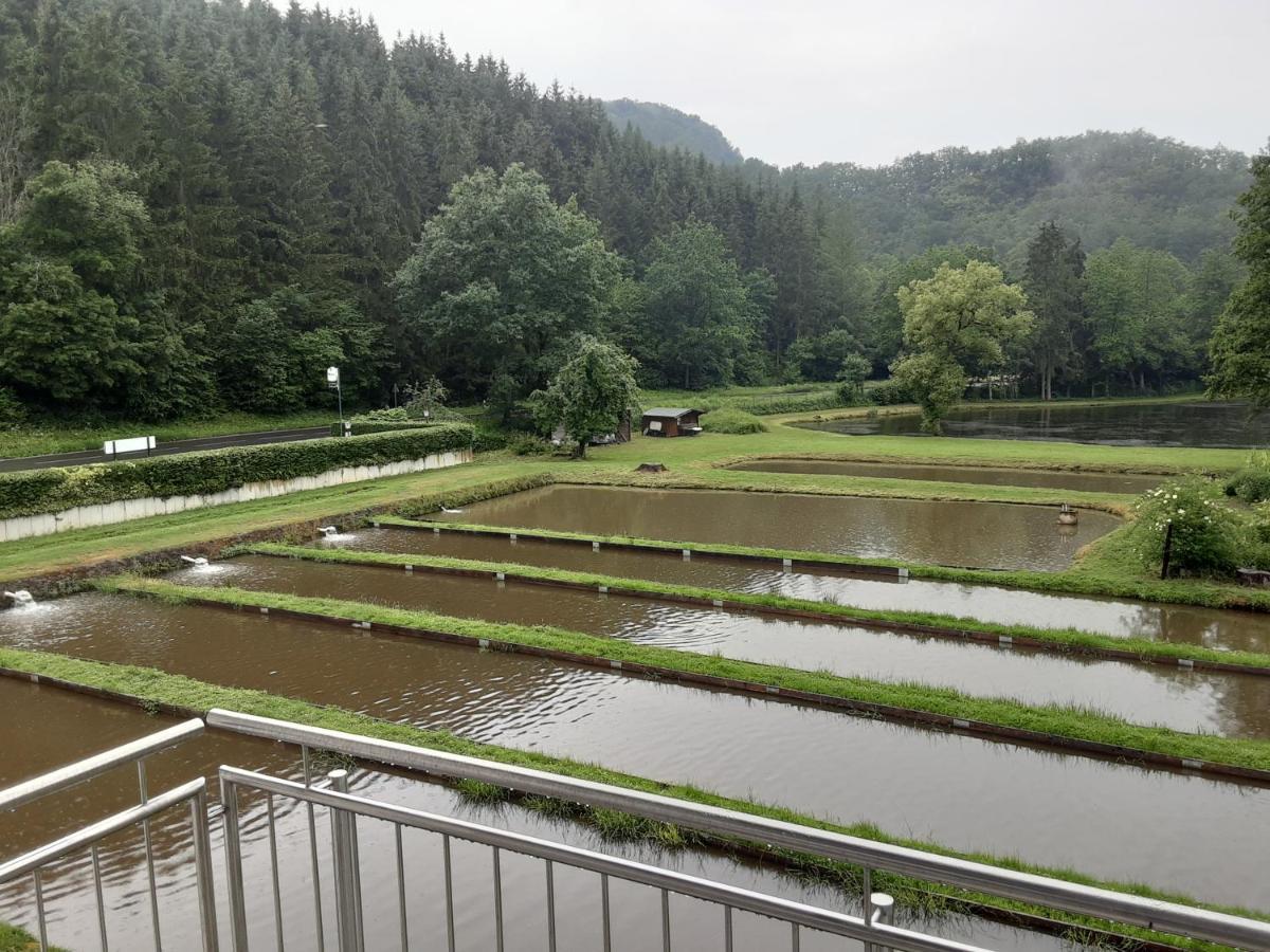 Zimmer Ohne Fruehstueck In Der Forellenzucht Burgen  Zewnętrze zdjęcie