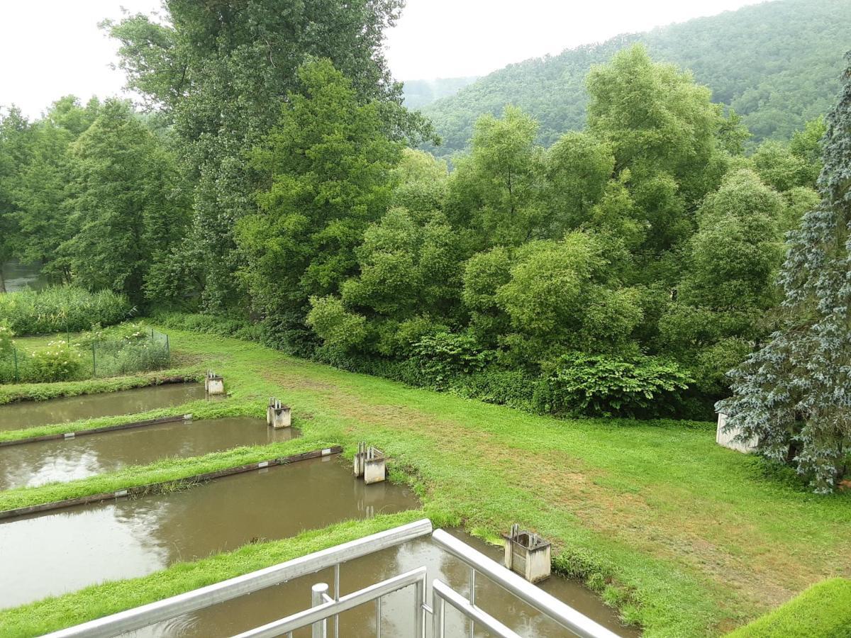 Zimmer Ohne Fruehstueck In Der Forellenzucht Burgen  Zewnętrze zdjęcie