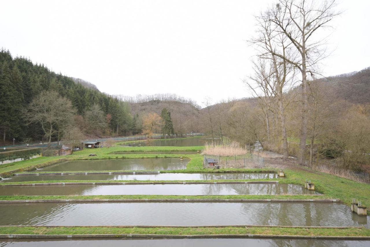 Zimmer Ohne Fruehstueck In Der Forellenzucht Burgen  Zewnętrze zdjęcie